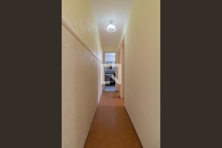 Corredor de apartamento para alugar com 2 quartos, 60m² em Jardim Ponte Rasa, São Paulo