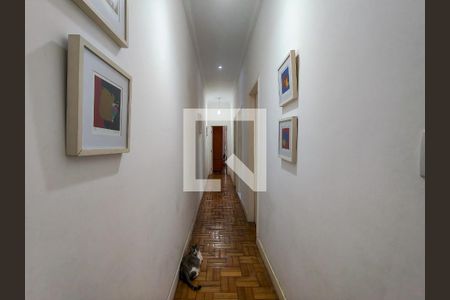 Corredor de apartamento para alugar com 3 quartos, 90m² em Rio Comprido, Rio de Janeiro