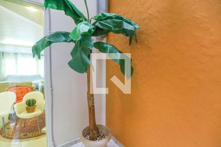 Sala - Jardim de inverno  de casa para alugar com 2 quartos, 250m² em Centro, Diadema