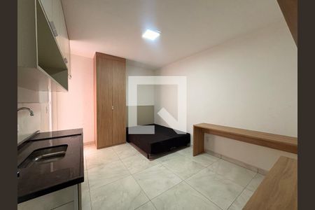 Sala/ quarto  de kitnet/studio para alugar com 1 quarto, 20m² em Parque das Nações, Santo André