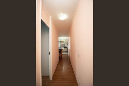 Corredor de apartamento para alugar com 2 quartos, 44m² em Jardim Iris, São Paulo