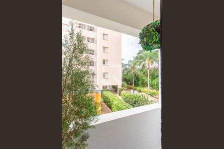Sacada da Sala de apartamento à venda com 2 quartos, 48m² em Jardim Dom Vieira, Campinas
