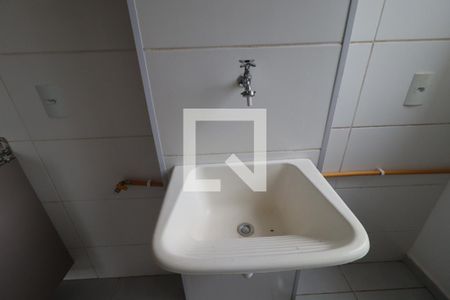 Cozinha de apartamento para alugar com 2 quartos, 56m² em Quintino Facci Ii, Ribeirão Preto