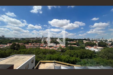 Apartamento para alugar com 2 quartos, 46m² em Jardim Boa Esperança, Campinas