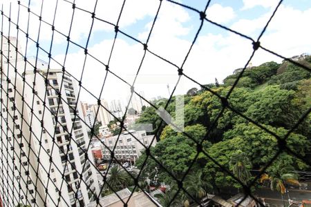 Apartamento à venda com 3 quartos, 75m² em Jardim Caboré, São Paulo