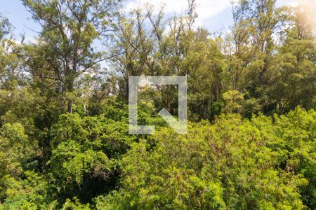 Vista da Sacada de apartamento para alugar com 3 quartos, 53m² em Vila Marieta, Campinas