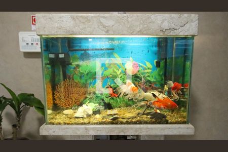 Área comum de apartamento para alugar com 1 quarto, 42m² em Guilhermina, Praia Grande