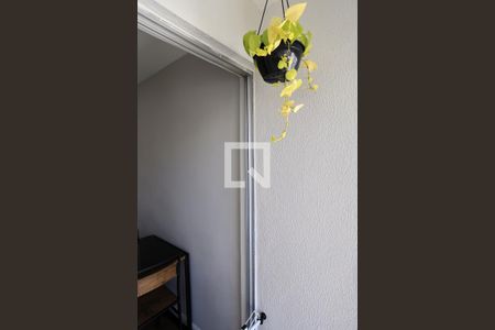 Varanda da Sala de apartamento à venda com 2 quartos, 55m² em Pompéia, Belo Horizonte