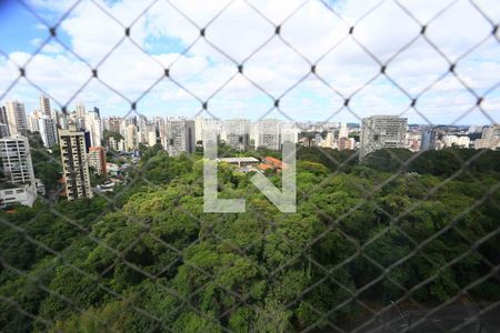 vista de apartamento para alugar com 2 quartos, 116m² em Vila Suzana, São Paulo