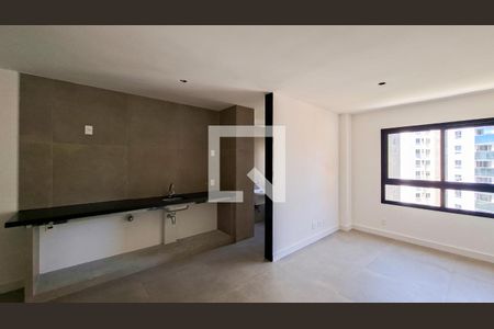Sala/Cozinha de apartamento para alugar com 1 quarto, 56m² em Lourdes, Belo Horizonte