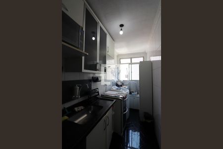 Cozinha e Área de Serviço de apartamento à venda com 2 quartos, 55m² em Vila Alves Dias, São Bernardo do Campo