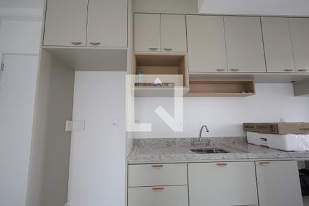 Cozinha de apartamento para alugar com 2 quartos, 63m² em Parque das Nações, Santo André