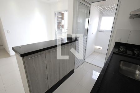 Cozinha de apartamento para alugar com 2 quartos, 52m² em Vila Metalúrgica, Santo André