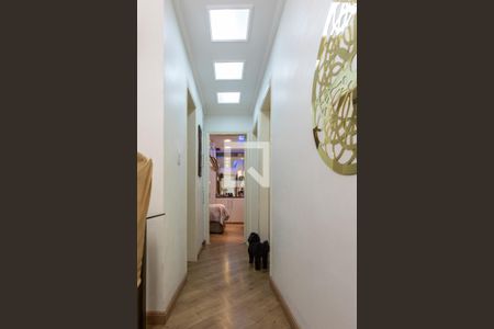 Corredor dos Quartos de apartamento à venda com 3 quartos, 70m² em Jardim dos Oliveiras, Campinas