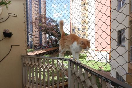 Sacada de apartamento para alugar com 2 quartos, 63m² em Sítio Pinheirinho, São Paulo
