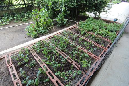 Apartamento à venda com 89m², 3 quartos e 1 vagaÁrea comum - Horta