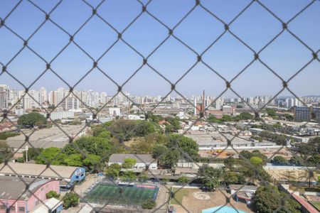 Apartamento para alugar com 241m², 4 quartos e 3 vagas Apartamento para alugar com 241m², 4 quartos e 3 vagasVista do Quarto