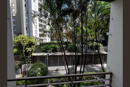 Varanda da Sala de apartamento para alugar com 2 quartos, 46m² em Vila Amélia, São Paulo