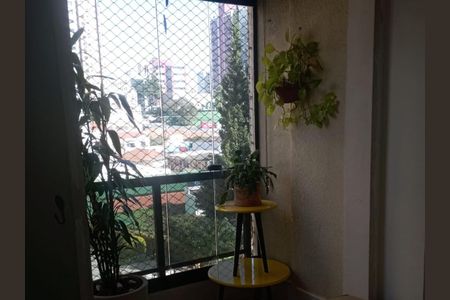 Apartamento para alugar com 87m², 3 quartos e 2 vagas Apartamento para alugar com 87m², 3 quartos e 2 vagasVarada