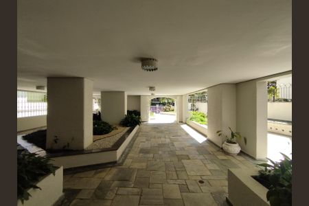Apartamento para alugar com 80m², 3 quartos e 1 vaga Apartamento para alugar com 80m², 3 quartos e 1 vagaEntrada