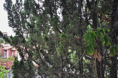 Casa à venda com 650m², 4 quartos e 9 vagasVista da Suíte 2