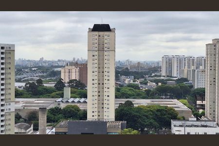 Vista de apartamento para alugar com 1 quarto, 48m² em Várzea da Barra Funda, São Paulo