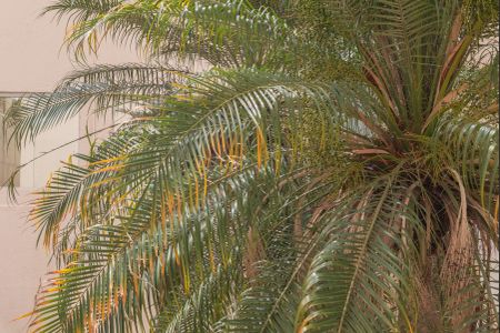 Apartamento à venda com 75m², 3 quartos e 1 vaga Apartamento à venda com 75m², 3 quartos e 1 vagaVista da Suíte