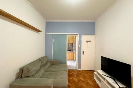 Sala de apartamento para alugar com 2 quartos, 53m² em Laranjeiras, Rio de Janeiro