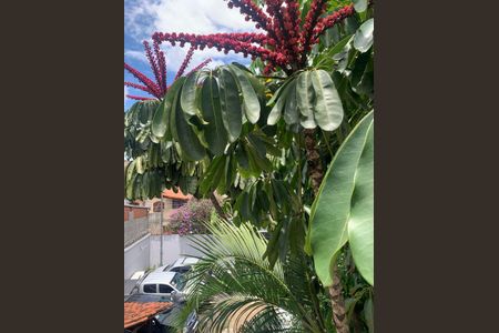 Casa para alugar com 226m², 3 quartos e 8 vagas