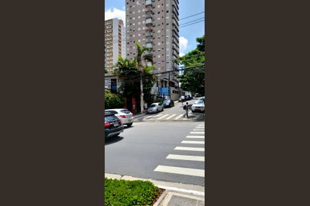 Casa para alugar com 2 quartos, 300m² em Santo Amaro, São Paulo