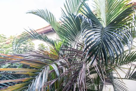 Casa de condomínio à venda com 380m², 4 quartos e 4 vagasVista da Suíte 3