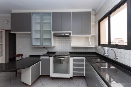 Apartamento à venda com 313m², 4 quartos e 4 vagas Apartamento à venda com 313m², 4 quartos e 4 vagasCozinha