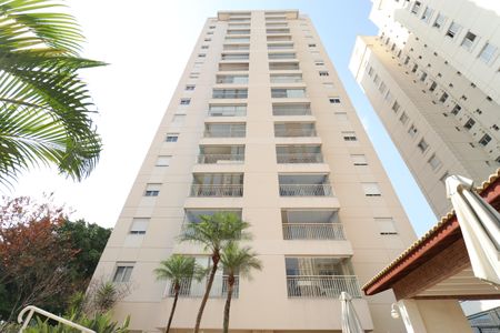 Apartamento para alugar com 76m², 2 quartos e 2 vagasÁrea comum