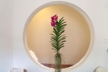 Casa à venda com 146m², 2 quartos e 1 vagaDetalhe