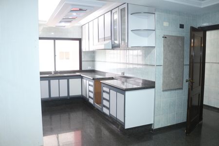 Apartamento à venda com 254m², 3 quartos e 3 vagasCozinha