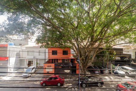 Vista de kitnet/studio para alugar com 1 quarto, 30m² em Planalto Paulista, São Paulo