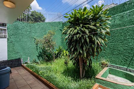 Casa à venda com 590m², 3 quartos e 8 vagasQuintal