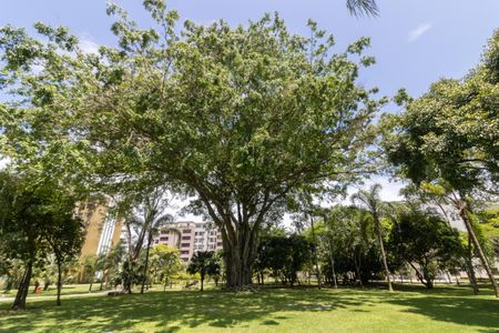 Apartamento à venda com 240m², 4 quartos e 3 vagasÁrea comum