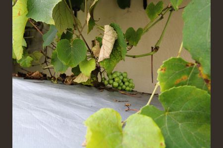 Casa à venda com 81m², 1 quarto e 1 vagaJardim