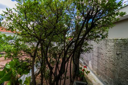 Casa à venda com 250m², 1 quarto e 2 vagasVista