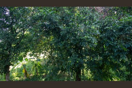 Casa de condomínio à venda com 200m², 3 quartos e 2 vagas Casa de condomínio à venda com 200m², 3 quartos e 2 vagasVista da Suíte 1