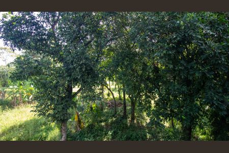 Casa de condomínio à venda com 200m², 3 quartos e 2 vagas Casa de condomínio à venda com 200m², 3 quartos e 2 vagasVista da Suíte 3