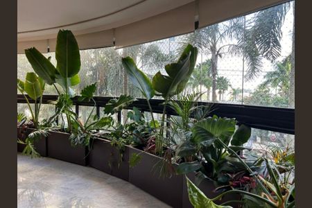 Apartamento à venda com 220m², 3 quartos e 4 vagas