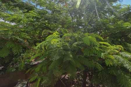 Apartamento à venda com 60m², 2 quartos e sem vaga Apartamento à venda com 60m², 2 quartos e sem vagaVista do Quarto 2