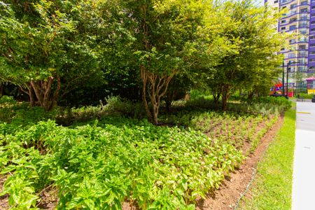 Apartamento à venda com 175m², 3 quartos e 3 vagasHorta