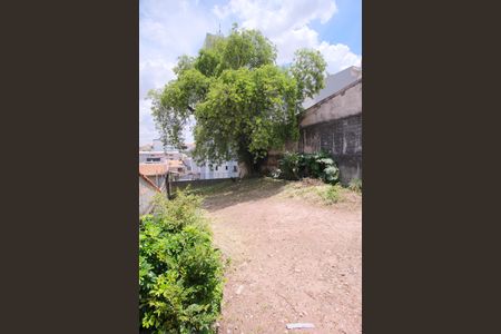 Casa para alugar com 136m², 2 quartos e 3 vagasQuintal