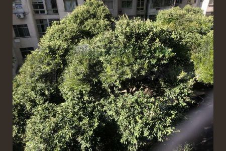 Apartamento à venda com 92m², 3 quartos e 1 vaga