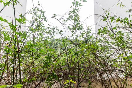 Apartamento à venda com 50m², 1 quarto e 1 vaga Apartamento à venda com 50m², 1 quarto e 1 vagaDetalhe