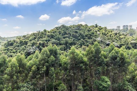 Apartamento à venda com 50m², 1 quarto e 1 vaga Apartamento à venda com 50m², 1 quarto e 1 vagaVista da Suíte