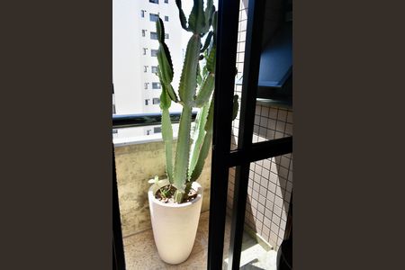 Apartamento à venda com 185m², 4 quartos e 3 vagasEscritório